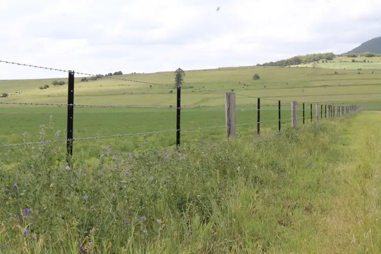 Seventh view of Homely rural property listing, Lot 29 Paynes Road, Freestone QLD 4370