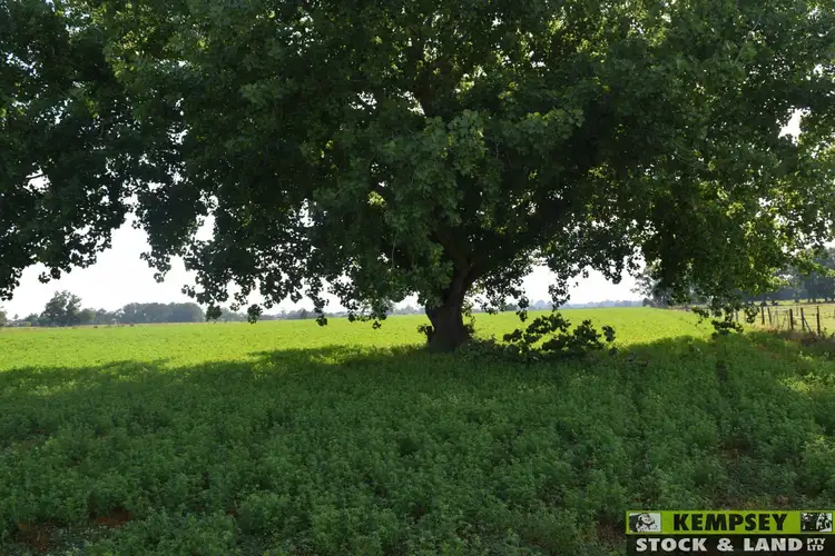Second view of Homely rural property listing, L1 Euroka Road, Euroka NSW 2440