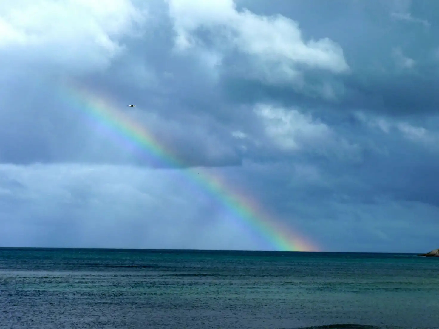 Main view of Homely rural property listing, Address available on request