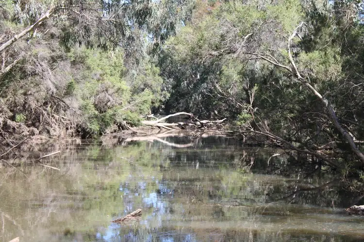 Seventh view of Homely rural property listing, Lot 11 Luna Road, Inglewood QLD 4387