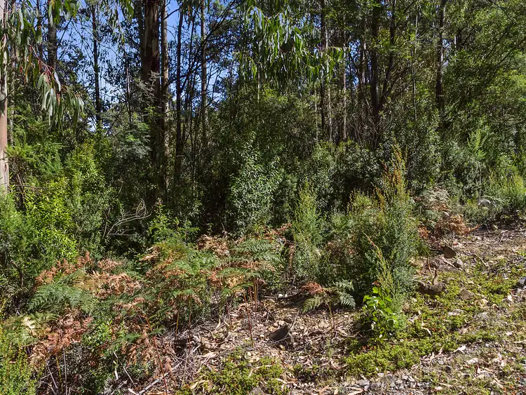 Seventh view of Homely land listing, 36587/1 Oigles Road, Geeveston TAS 7116