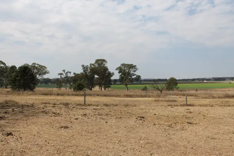 Second view of Homely rural property listing, Lot 404 MacAlister St, Pratten QLD 4370