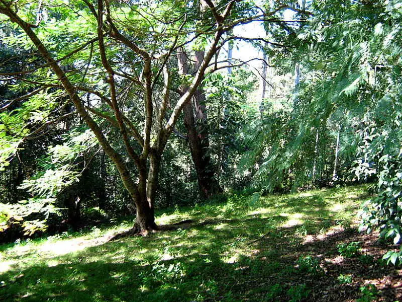 Main view of Homely land listing, 59 Balmoral Road, Montville QLD 4560