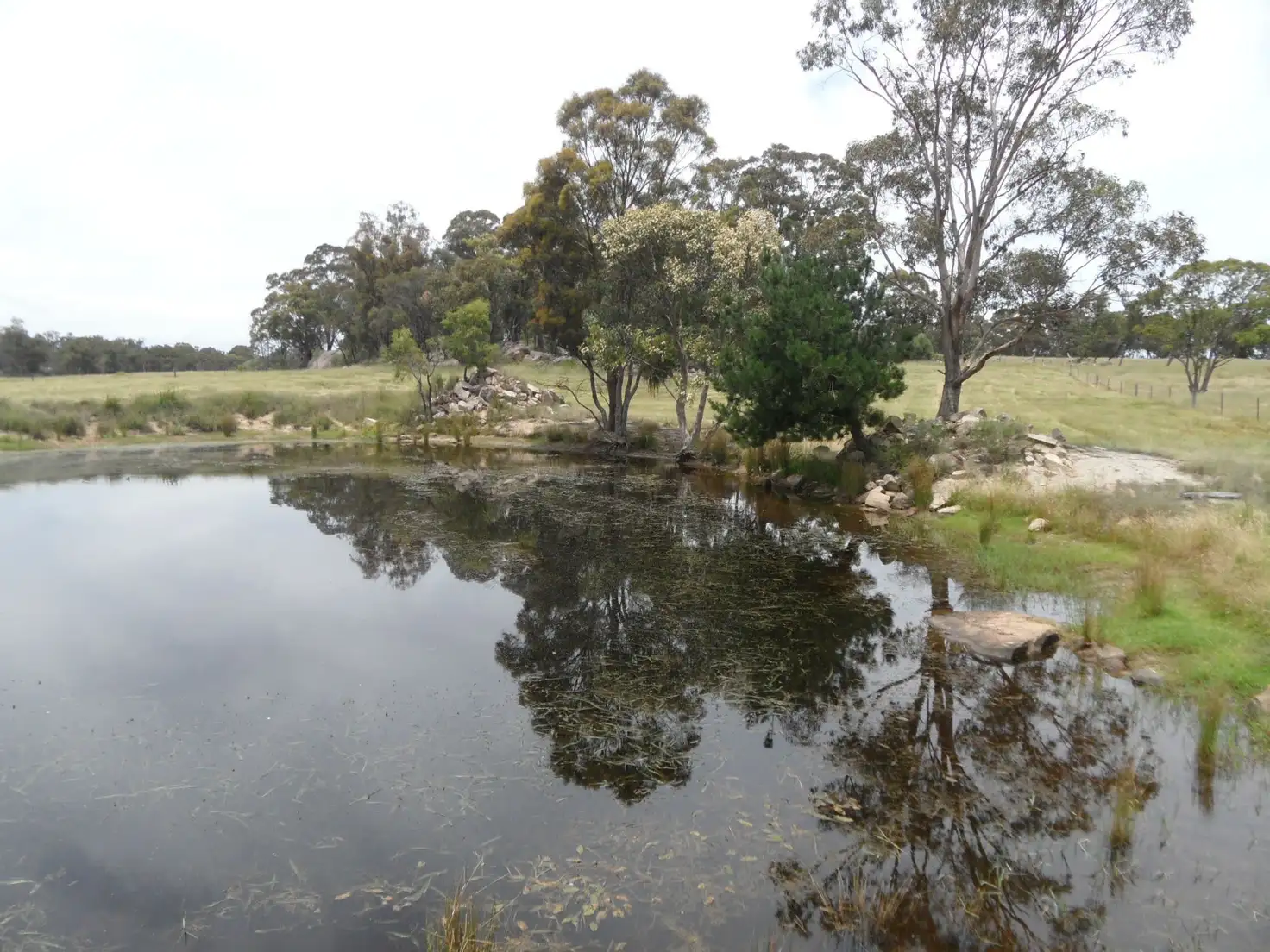 Main view of Homely land listing, Lot 26 Cannon Creek Road, Stanthorpe QLD 4380