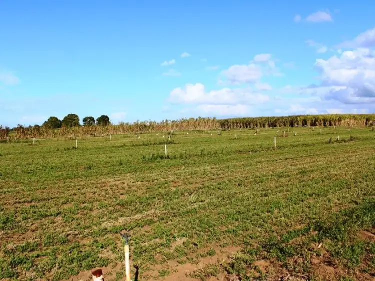 Fourth view of Homely rural property listing, 10 Careys Road, Meadowvale QLD 4670