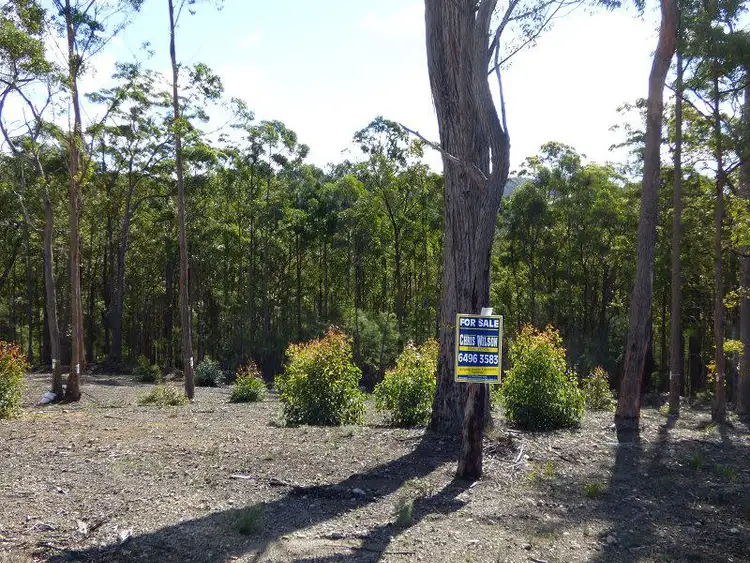 Third view of Homely rural property listing, Lot 85 Mac Hill Place, Bald Hills NSW 2549