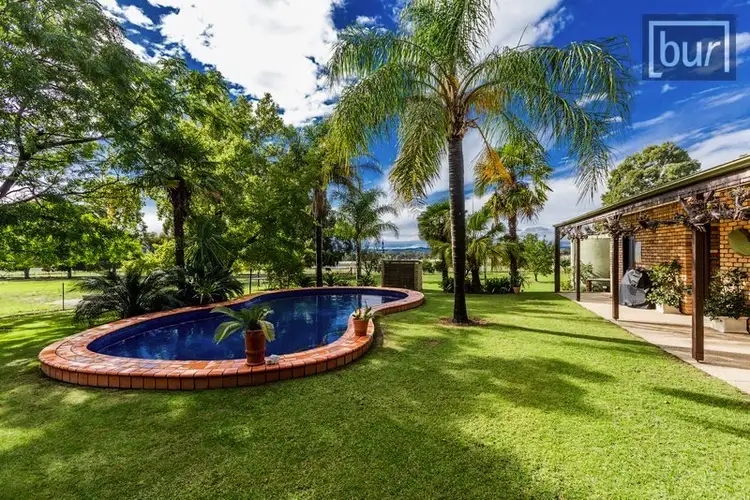 Third view of Homely rural property listing, 655 Dights Forest Rd, Table Top NSW 2640