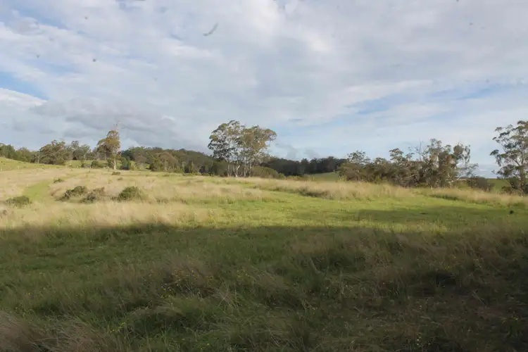 Sixth view of Homely rural property listing, 975 Killarney Barlows Gate Rd, Elbow Valley QLD 4370