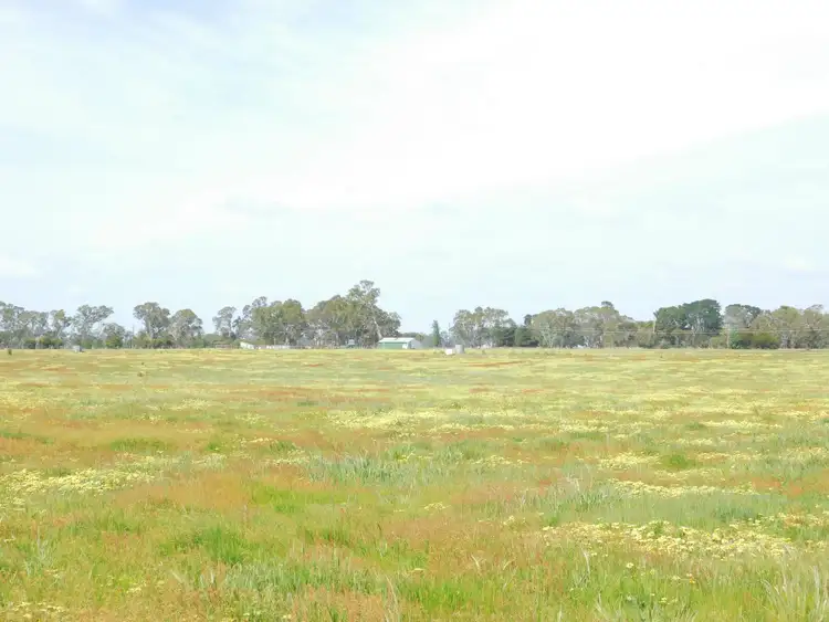 Third view of Homely land listing, Lot 5 Casterton Road, Penola SA 5277