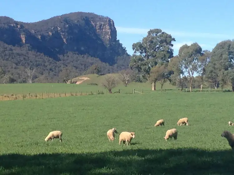 1376 Glen Alice Road, Rylstone NSW 2849