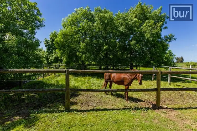 Second view of Homely rural property listing, Galactic Park - Murray Valley Highway, Rutherglen VIC 3685