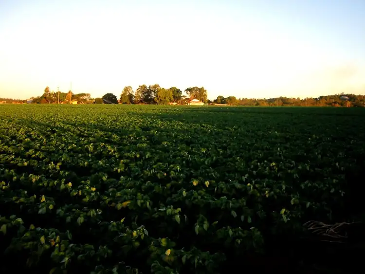 Second view of Homely rural property listing, L22 North Isis Road, North Isis QLD 4660