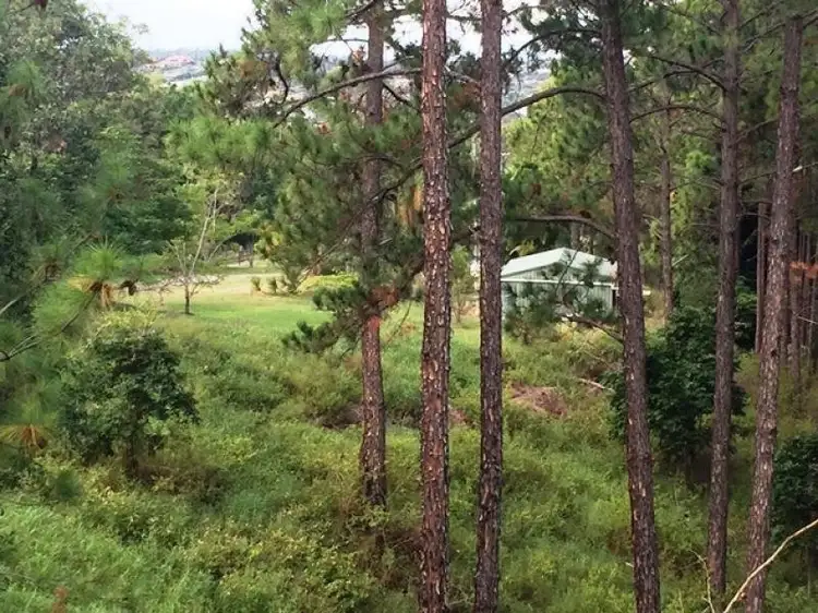 Main view of Homely house listing, 64 Felling Drive, Maudsland QLD 4210