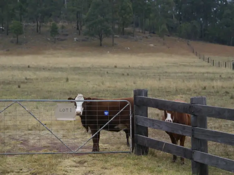 Lot 1 Putty Valley Road, Putty NSW 2330