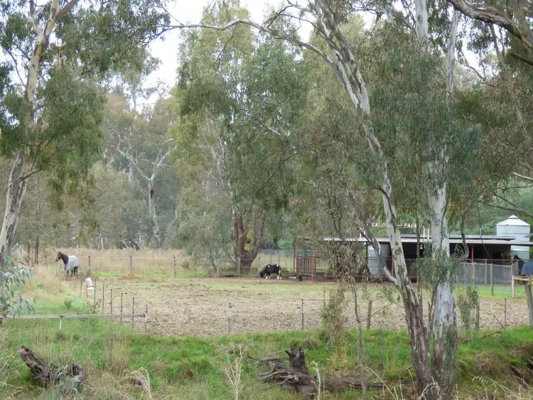 Fourth view of Homely house listing, 11 Hairs Crescent, Benalla VIC 3672