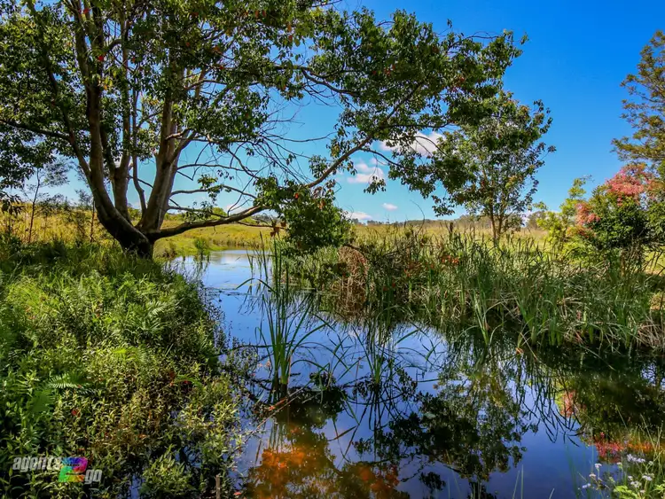 Fifth view of Homely rural property listing, 29 Stallan Road, Greens Creek QLD 4570