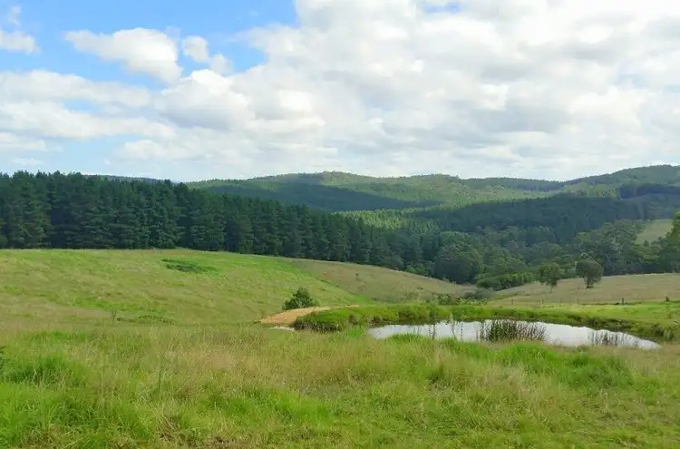 Third view of Homely rural property listing, 2985 Burragate Road, Towamba NSW 2550