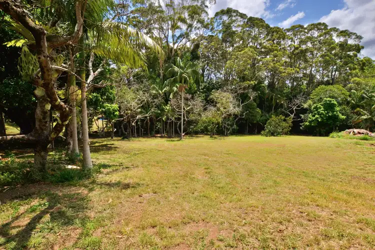 54 Chevallum Road, Palmwoods QLD 4555