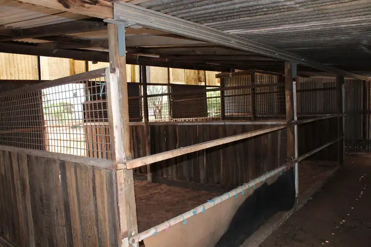 Second view of Homely rural property listing, 397 Scenic Drive, Nelshaby SA 5540