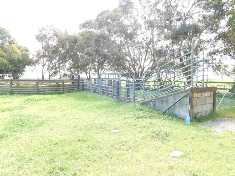 Seventh view of Homely rural property listing, 69 Gilbruc Road, Mount Gambier SA 5290