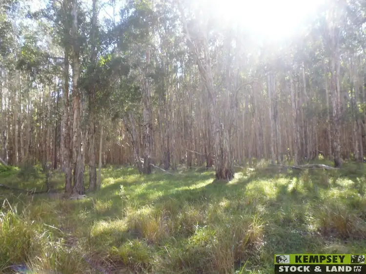 Second view of Homely rural property listing, L216 Andersons Lane, Kempsey NSW 2440