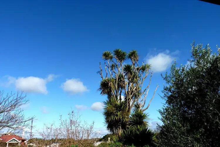 Fifth view of Homely house listing, 4/8 Main Street, Lobethal SA 5241