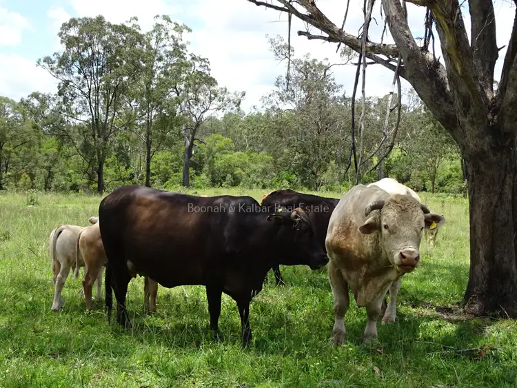 Fourth view of Homely rural property listing, Address available on request