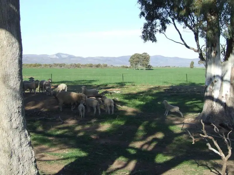 Main view of Homely rural property listing, L136 SPENCER ROAD, Mambray Creek SA 5495