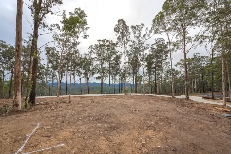 Sixth view of Homely land listing, Lot 3, 106 Wongawallen Road, Tamborine Mountain QLD 4272