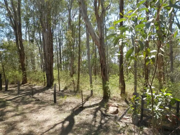 Seventh view of Homely rural property listing, Lot 4 Leslie Creek Road, Drake NSW 2469