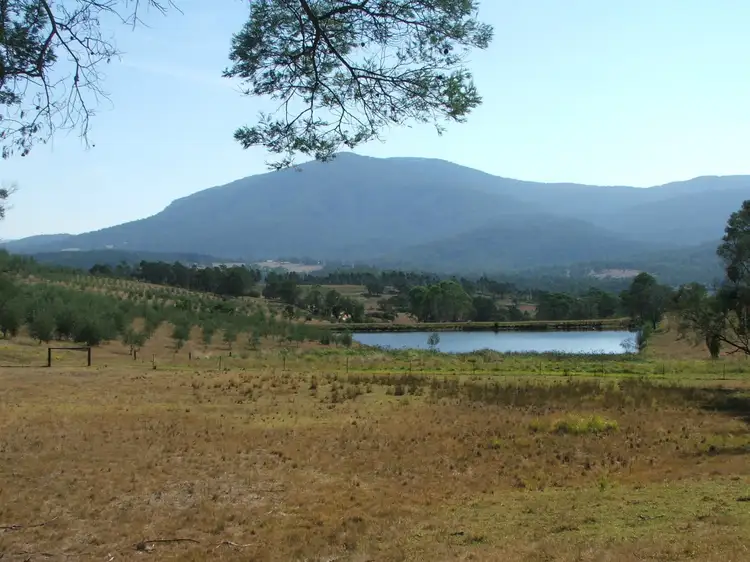 Sixth view of Homely rural property listing, 201 Pericoe Road, Towamba NSW 2550
