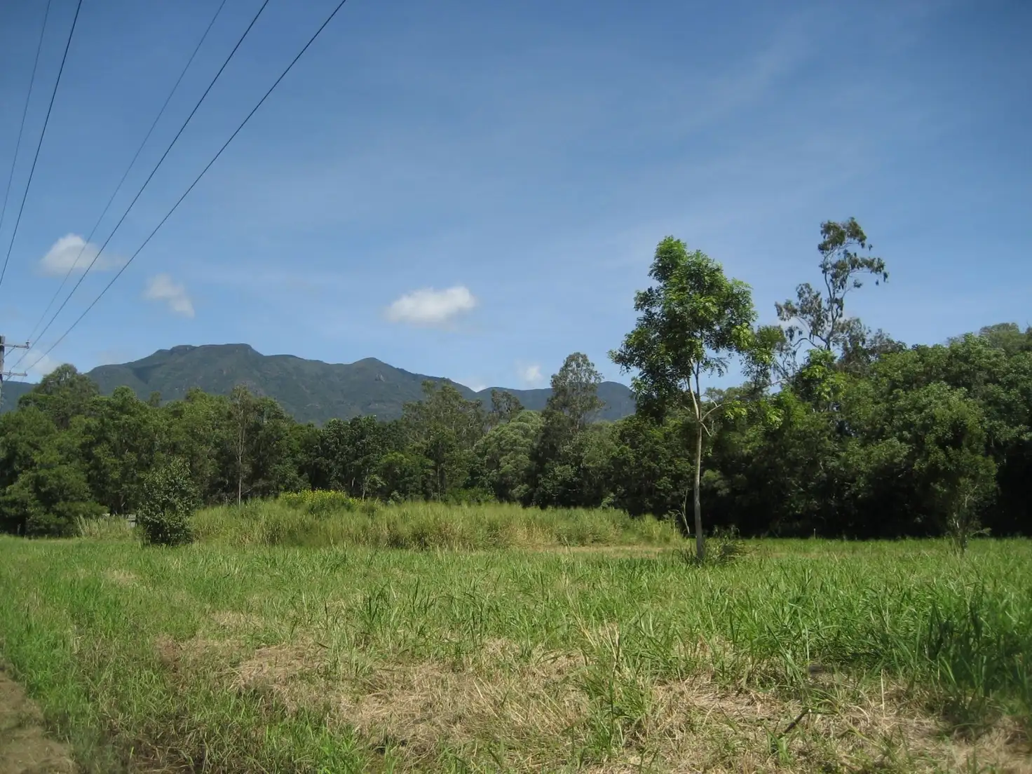 Main view of Homely land listing, L17 Bauhinia Drive, Carruchan QLD 4816