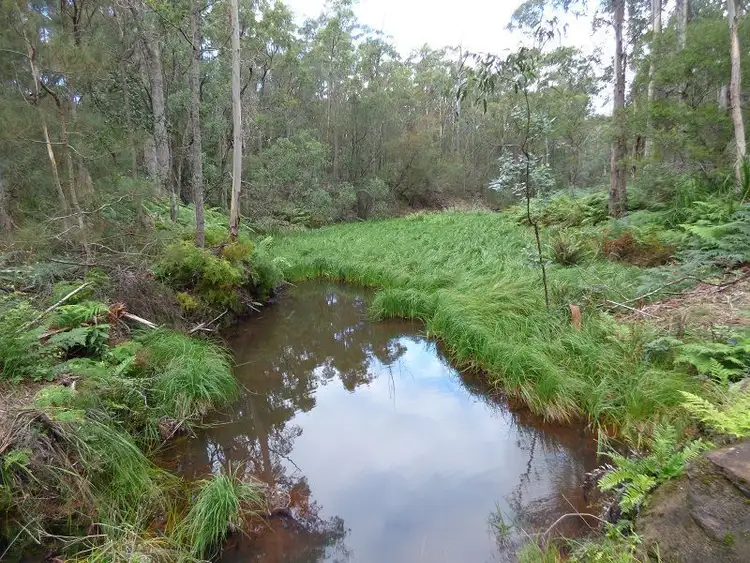 Third view of Homely rural property listing, L772 Mount Darragh Road, Lochiel NSW 2549