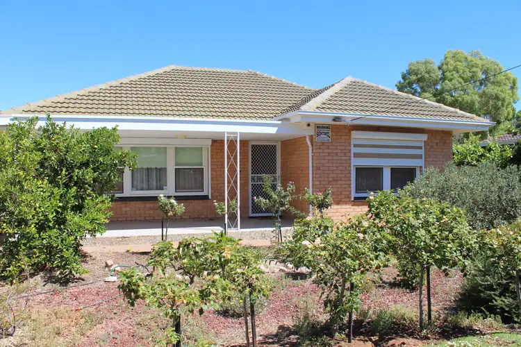 28 Butterick Street, Port Pirie SA 5540