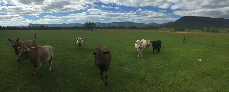Fourth view of Homely rural property listing, Lot 14 Dunville Loop Road, Rylstone NSW 2849