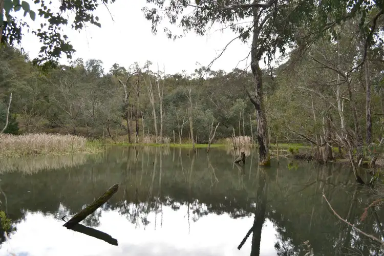 Third view of Homely rural property listing, 4 Daniels Road, Bridgetown WA 6255