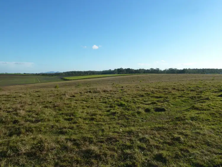 Third view of Homely land listing, 433 Nerada Road, Tinana South QLD 4650