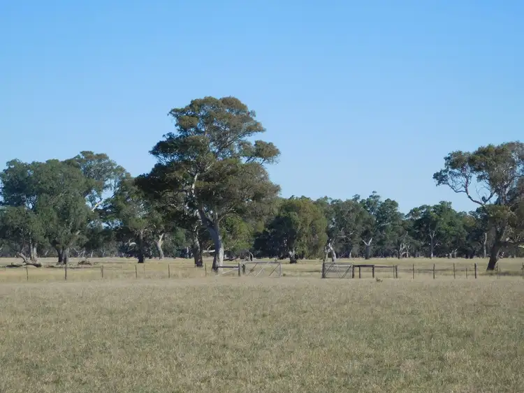 Seventh view of Homely rural property listing, 1203 Old Kalangadoo-Penola Road, Kalangadoo SA 5278
