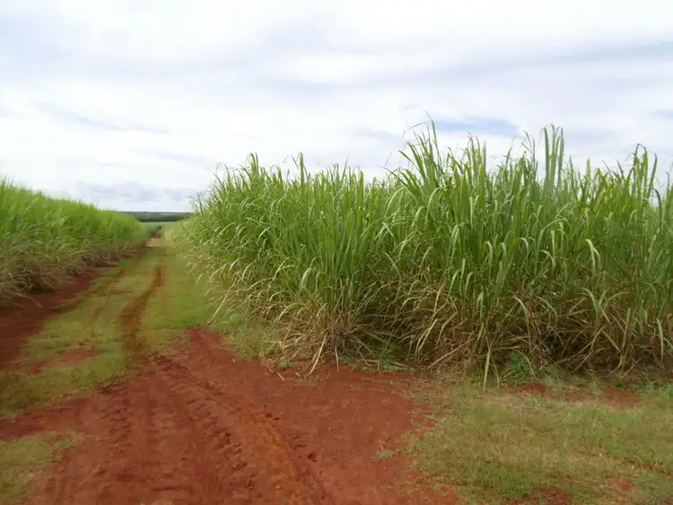 Sixth view of Homely rural property listing, 14 Kellys Road, North Isis QLD 4660