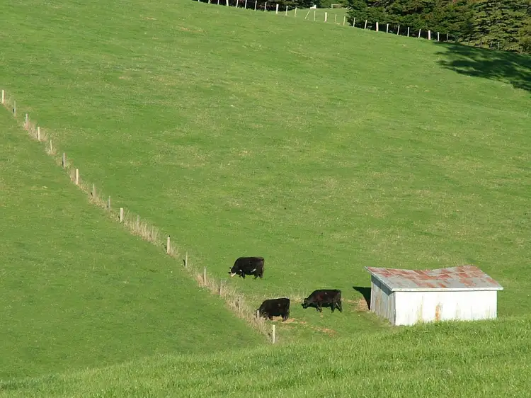 Fourth view of Homely rural property listing, Address available on request