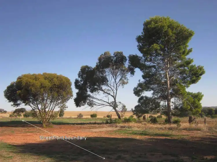 Main view of Homely land listing, 3 West Terrace, Wirrabara SA 5481