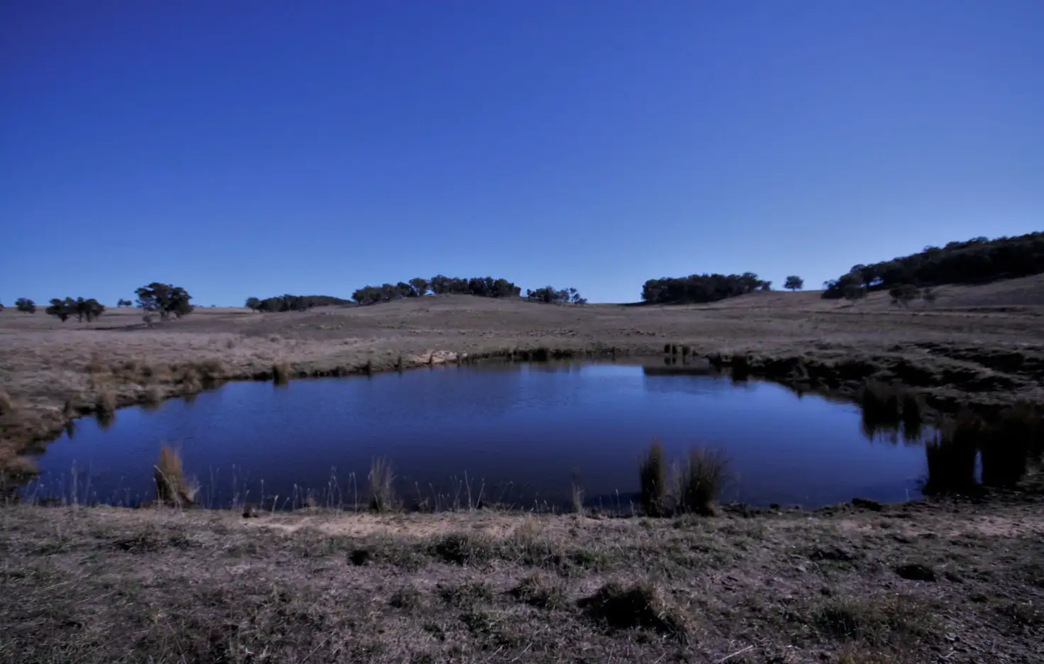 Main view of Homely rural property listing, 2942 Tinderry Road, Anembo NSW 2621