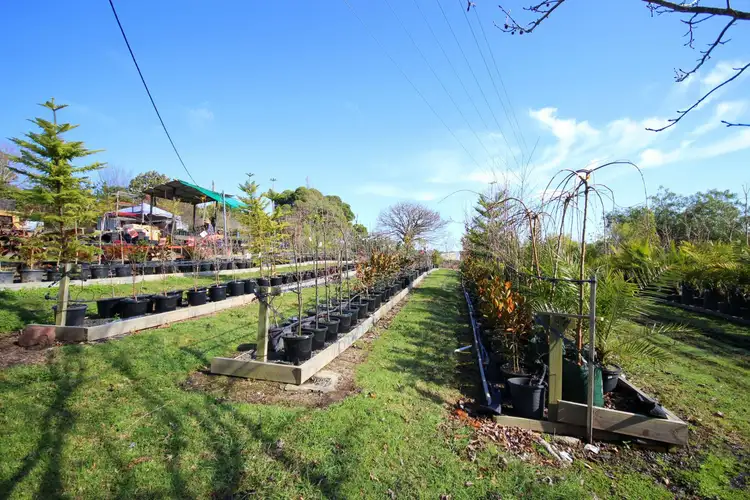 Second view of Homely rural property listing, 3860 Princes Highway, Pambula NSW 2549