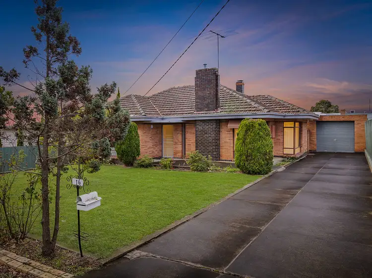 Main view of Homely house listing, 16 Sherbrook Avenue, Ringwood VIC 3134