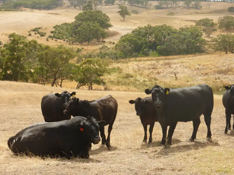 Second view of Homely rural property listing, 1154 James Track, Myponga SA 5202