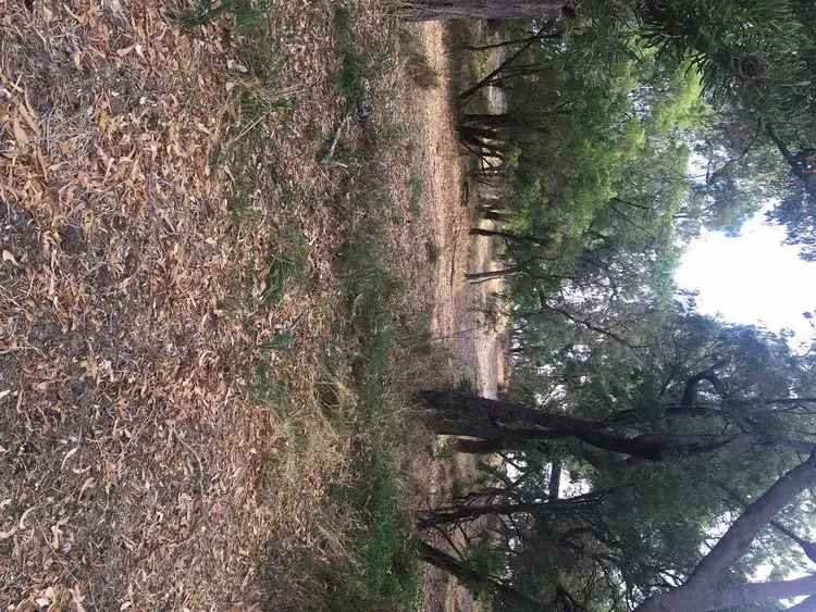 Fourth view of Homely land listing, 4 Stanton Way, Leschenault WA 6233