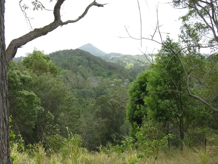 Third view of Homely land listing, LOT 4, 1353 Eumundi Noosa Road, Eumundi QLD 4562