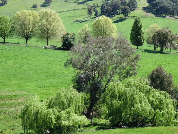 . Georges Creek Road, Georges Creek VIC 3700