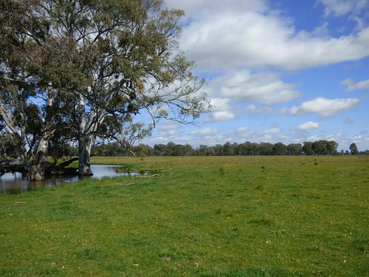 Main view of Homely rural property listing, L2 MIDLAND Highway, Benalla VIC 3672