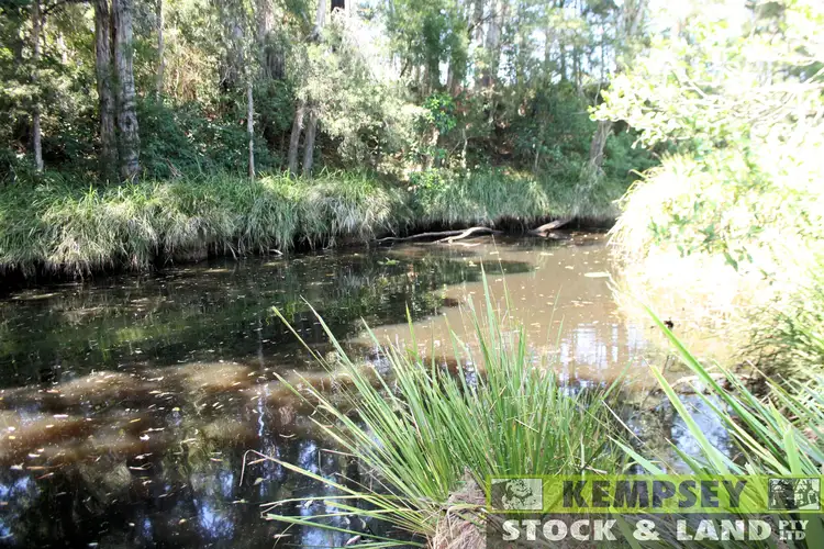 Third view of Homely rural property listing, 51 Horse Lane, Kundabung NSW 2441